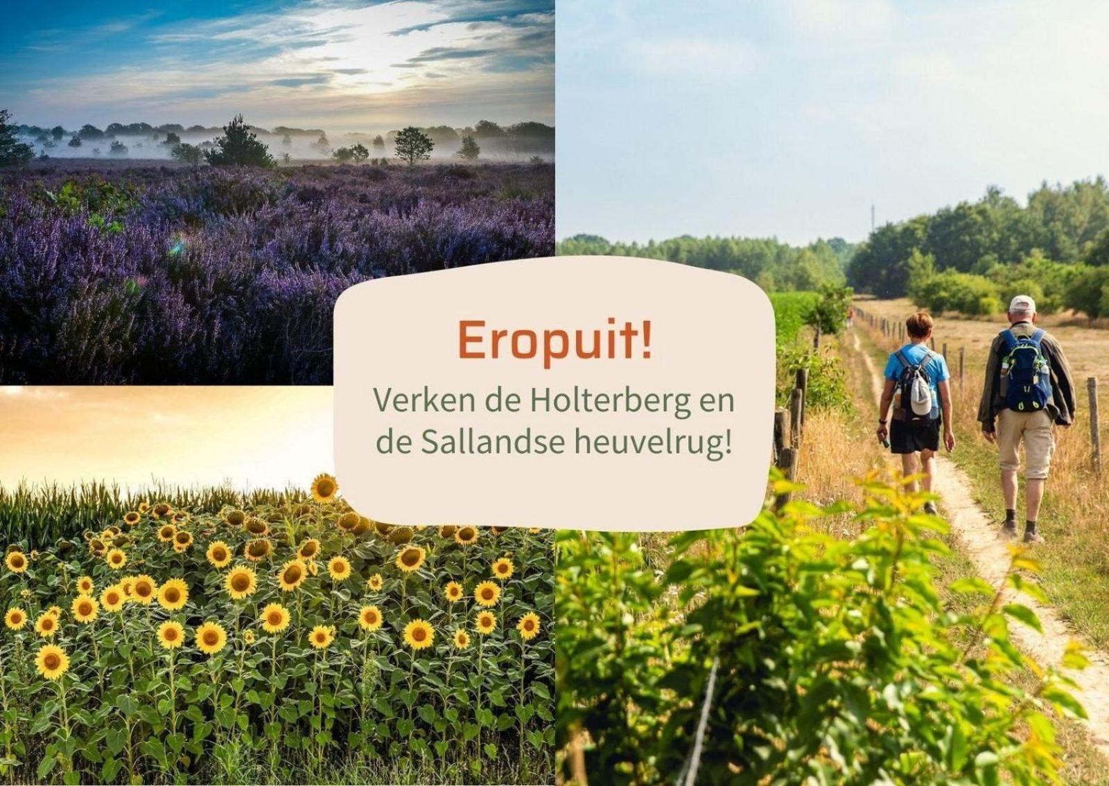 Vakantiepark Hoelte Rijssen Kültér fotó